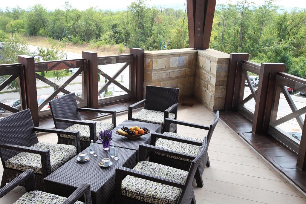 Hotel Danubia Park Веліко-Ґрадіште Номер фото